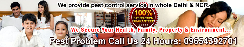 Pest Control Noida