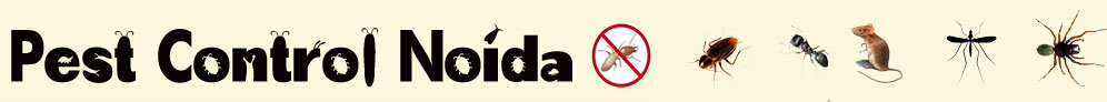 Pest Control Noida