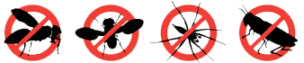 Pest Control Noida